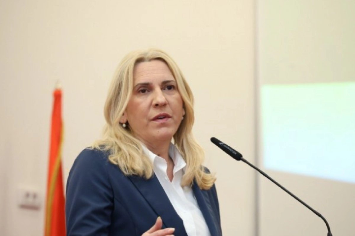 Cvijanović: Šmitov izvještaj vrvi od manipulacija i laži